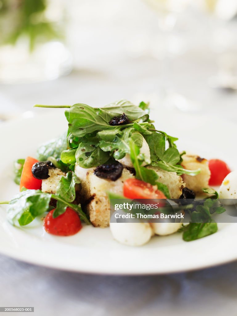 Panzanella salad with greens, tomatoes, bread,mozarella and red onions