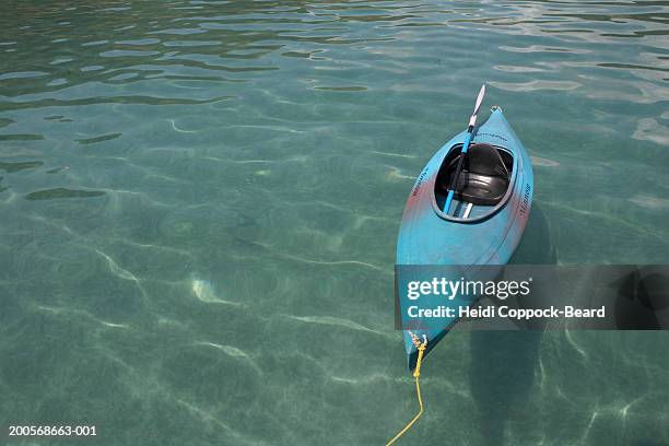 new zealand, auckland, waiheke island, canoe moored in ocean - heidi coppock beard stock pictures, royalty-free photos & images