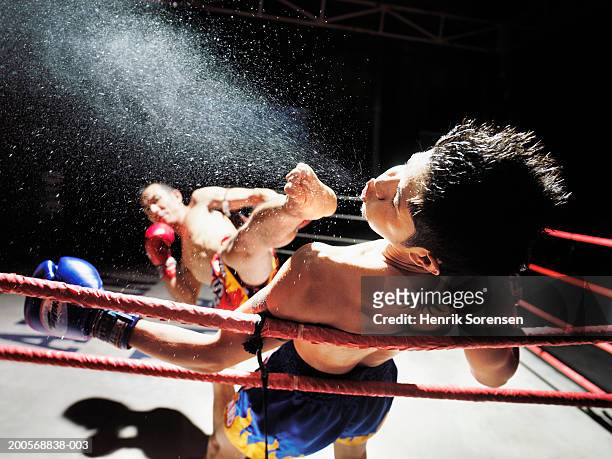 thai boxing match, one boxer kicking another in face - championship ring foto e immagini stock