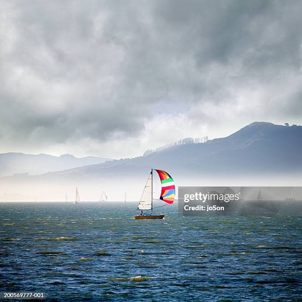 sailboat in bay - bahía de san francisco fotografías e imágenes de stock
