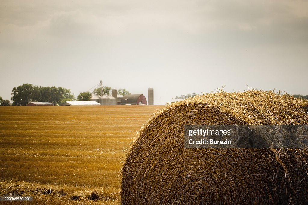 Hay bale in field, Waterford, Wisconsin, USA