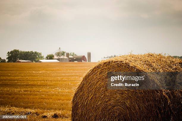 hay bale in field, waterford, wisconsin, usa - bale stock pictures, royalty-free photos & images
