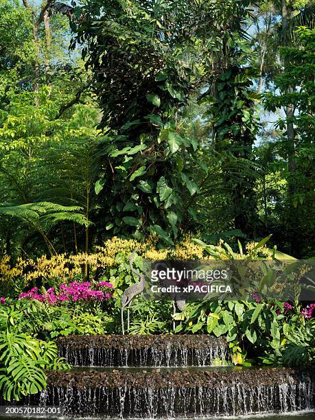 water feature, singapore botanic gardens, singapore. - singapore botanic gardens stock pictures, royalty-free photos & images