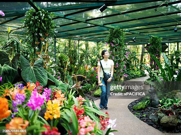 young woman walking in orchid house - botanical garden stockfoto's en -beelden