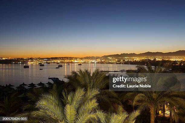 egypt, sharm el sheikh, naama bay, palm trees in forground, sunset - sharm el sheikh stockfoto's en -beelden