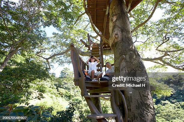 father and son (8-9) in tree house, low angle view - asian child with binoculars stock pictures, royalty-free photos & images