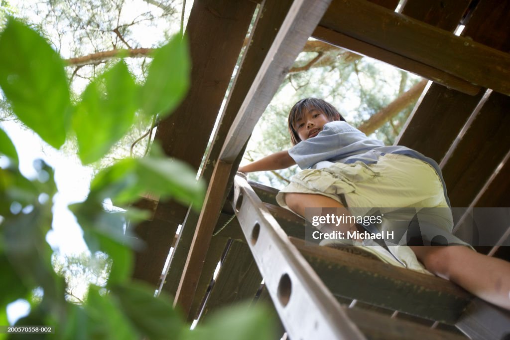 Boy (8-9) climbing up into tree house, low angle view, portrait