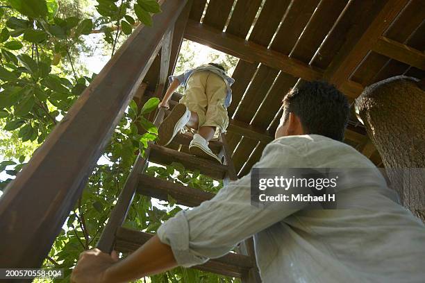 boy (8-9) climbing up into tree house, father standing below - tree house bildbanksfoton och bilder