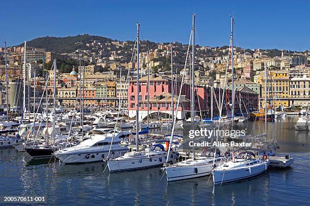 italy, genoa, yachts in harbour - genoa bildbanksfoton och bilder