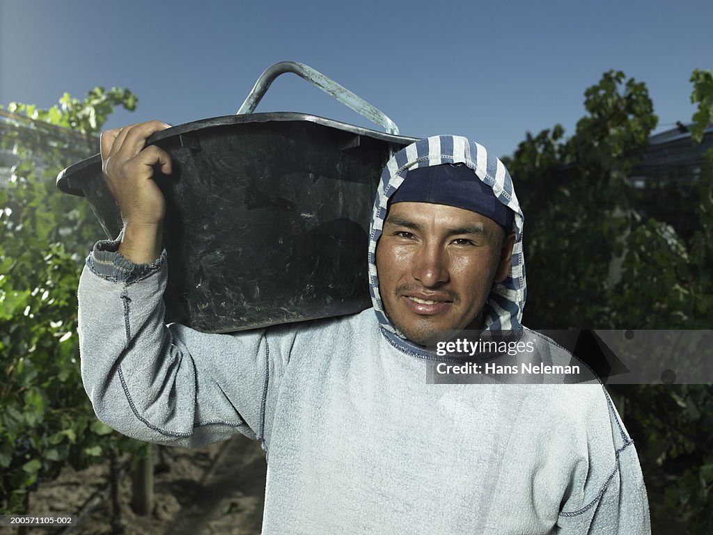 Vineyard worker carrying container on shoulder, smiling, portrait