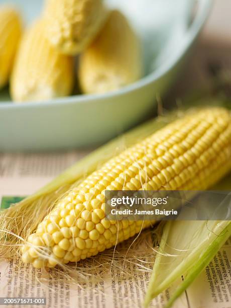 corn on the cob, close-up - corn cob stock pictures, royalty-free photos & images