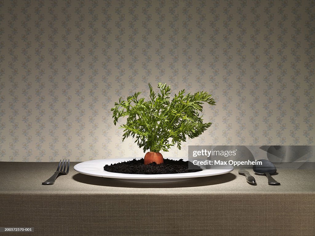 Raw carrot top and earth served on plate