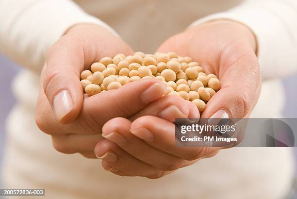 woman holding soy beans, close-up - soybean stock-fotos und bilder