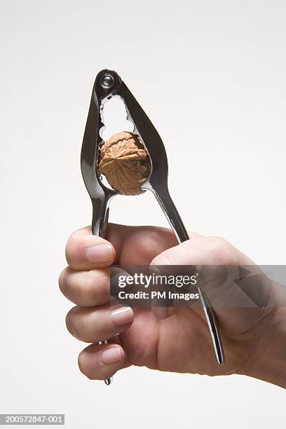 woman cracking walnut, close-up - nutcracker stock pictures, royalty-free photos & images