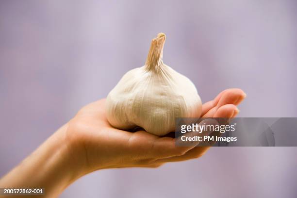 woman holding garlic bulb, close-up - knoblauch stock-fotos und bilder