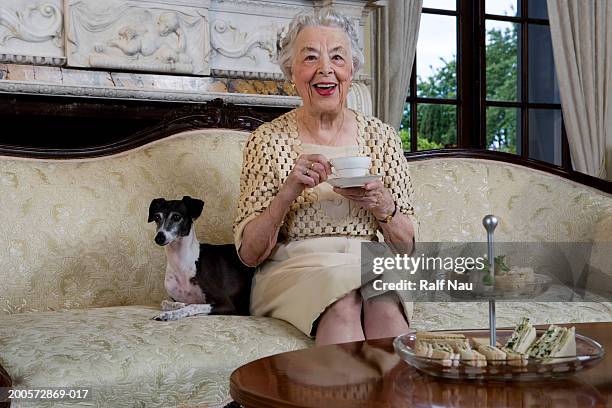 senior woman sitting on sofa with dog, smiling - 80s living room fotografías e imágenes de stock