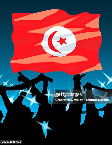 tunisian flag above cheering fans - african soccer fans stock illustrations