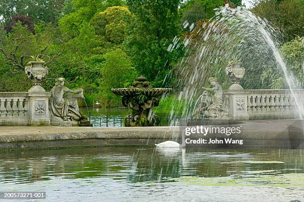 fountain and white swan in hyde park - hyde park london fotografías e imágenes de stock