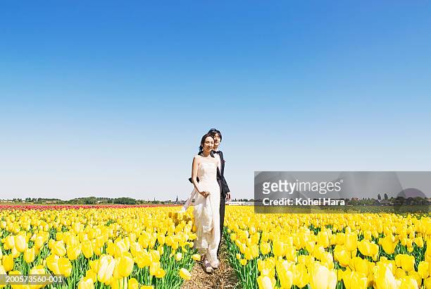 amsterdam,netherlands,bride and groom walking through field of tulips - tulp stockfoto's en -beelden