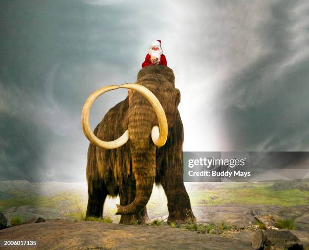 Composite photo of Santa Claus riding a woolly mammoth , also called the tundra mammoth, on Christmas Eve During the Stone Age, 2011. .