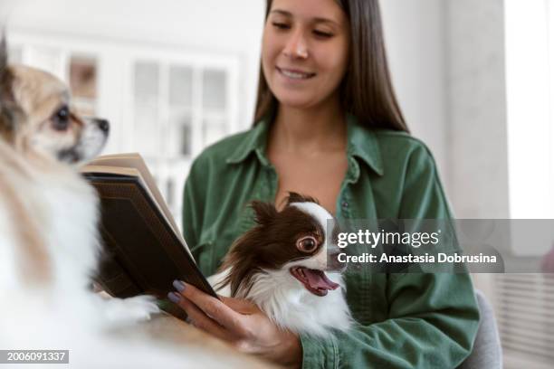 young adult woman relaxing with a book and dogs in living room - dog training stock pictures, royalty-free photos & images