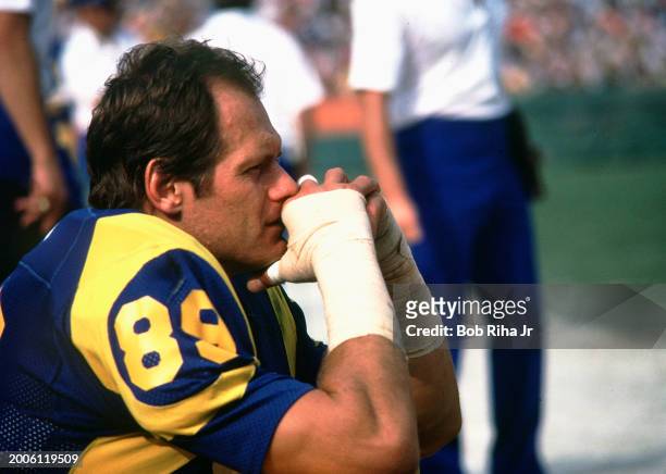 Los Angeles Rams Defensive End Fred Dryer watches offensive unit on field against New Orleans Saints, November 27, 1980 in Los Angeles, California.