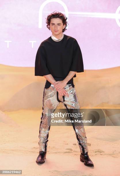 Timothee Chalamet attends the World Premiere of "Dune: Part Two" in Leicester Square on February 15, 2024 in London, England.