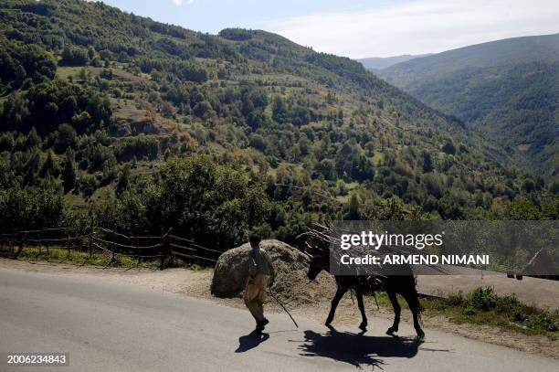 By Pierre Glachant. A Kosovo Gorani cattle farmer goes to his field in the village of Globocica on September 23, 2009. A tiny community of ethnic...