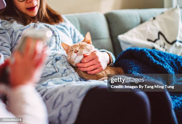 cheerful asian woman petting her tabby cat’s face while he is sleeping on her lap on sofa - hairy asian stock pictures, royalty-free photos & images