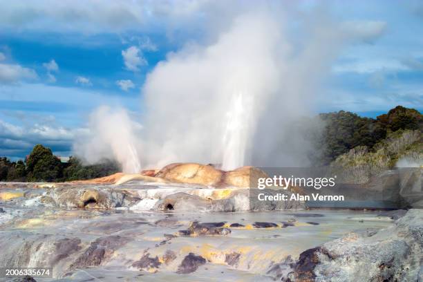 pohutu geyser eruption - géiser pohutu imagens e fotografias de stock