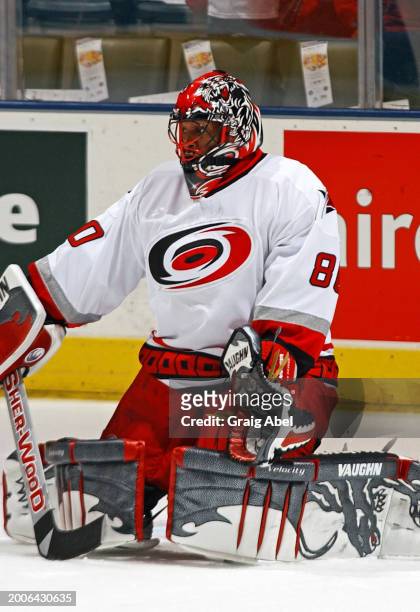 Kevin Weekes of the Carolina Hurricanes skates against the Toronto Maple Leafs during NHL game action on February 23, 2004 at Air Canada Centre in...