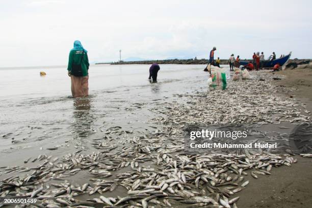 Muhammad Fish 1,757 Muhammad Fish Stock Photos, High-Res Pictures, and Images - Getty ...