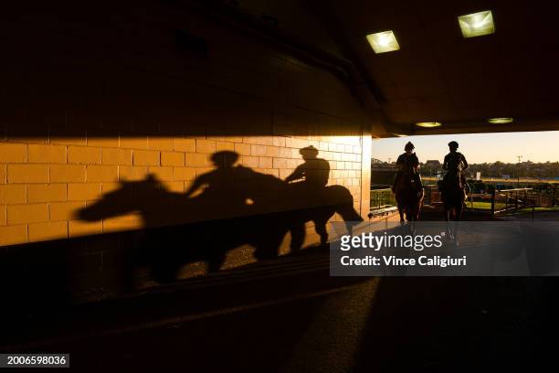 Jordan Childs riding Bucks Party alongside Journalism during track gallops at Moonee Valley Racecourse on February 12, 2024 in Melbourne, Australia.