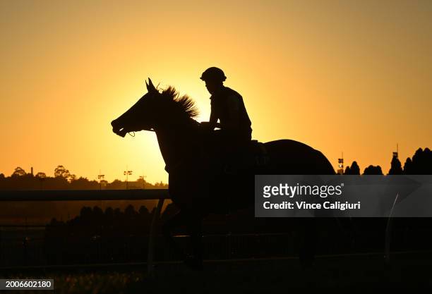 Michael Dee riding Nokhbah from Lindsay Park Racing during track gallops at Moonee Valley Racecourse on February 12, 2024 in Melbourne, Australia.