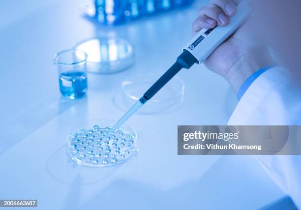 In Vitro Testing Sample 960 In Vitro Testing Stock Photos, High-Res Pictures, and Images ...