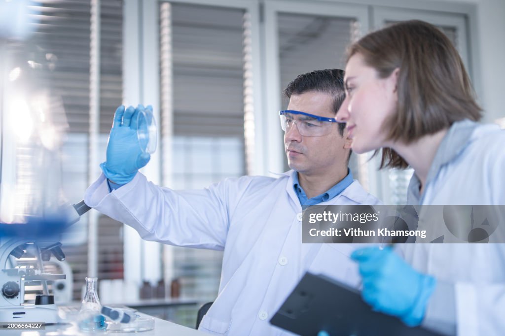 Lab Visual Samples Two Scientists Working In Laboratory For Visual Analyze The Sample In ...