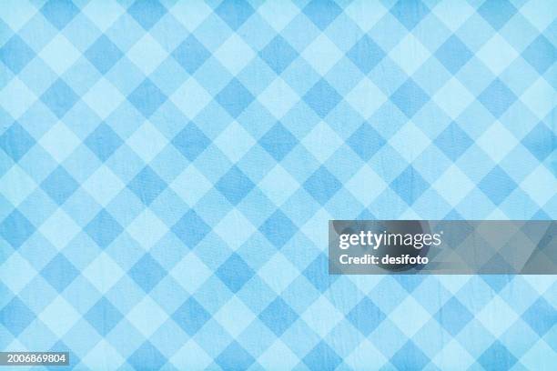 ilustrações de stock, clip art, desenhos animados e ícones de bright turquoise light sky blue olored soft pastel slanting or oblique checkered crisscross pattern textured horizontal blank empty vector backgrounds like gingham or table cloth or napkin - fofo texturizado