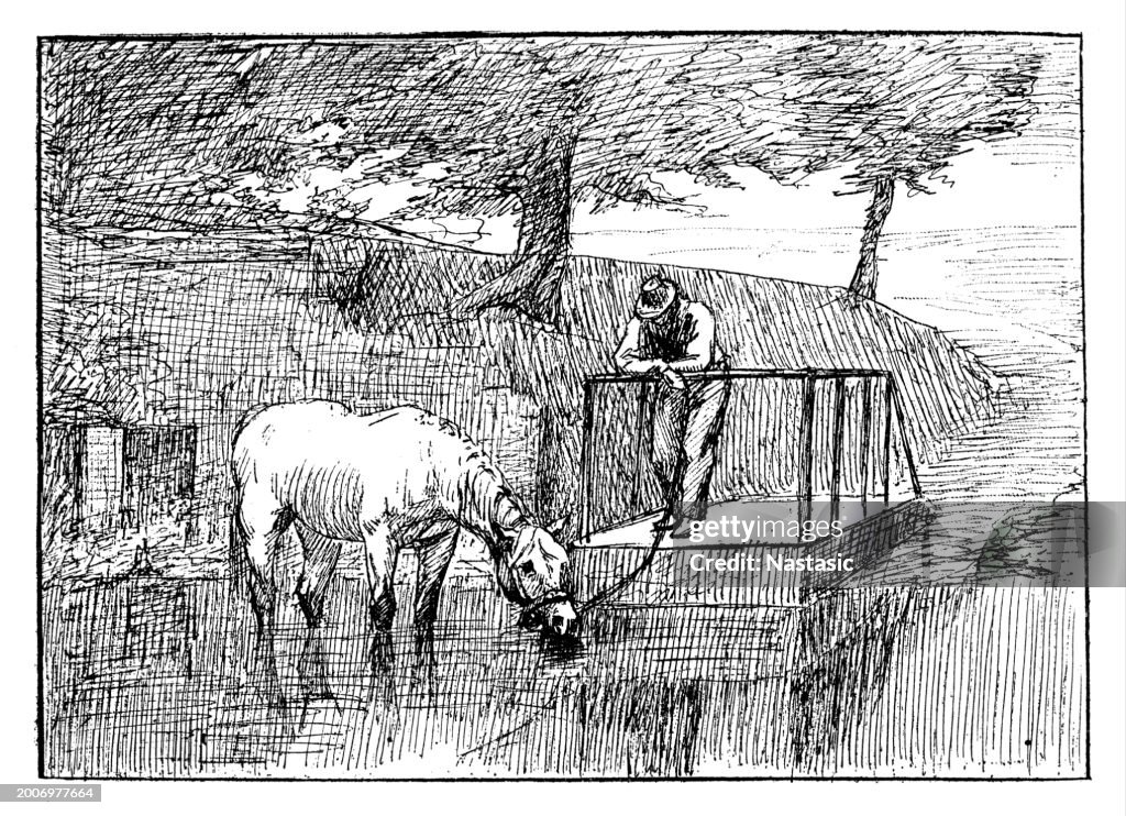 Watering Horse on the River