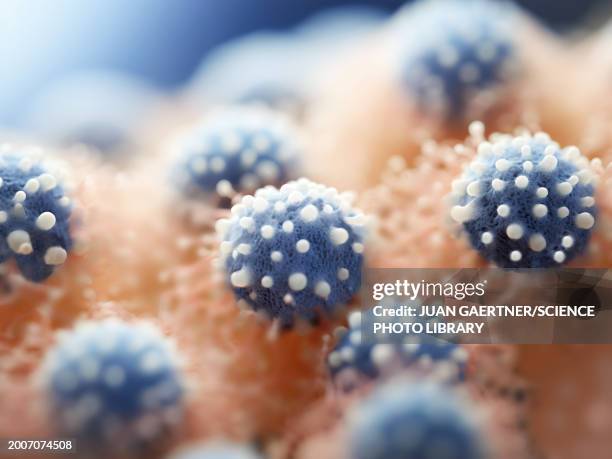 respiratory syncitial viruses, illustration - darmschleimhaut stock-grafiken, -clipart, -cartoons und -symbole