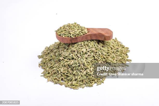 fennel seeds isolated on white. - cominho imagens e fotografias de stock