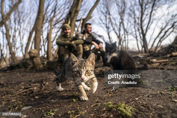 Cats play with Ukrainian soldiers waiting for the order to fire a D20 Artillery gun against Russian positions as Russia-Ukraine war continues in...