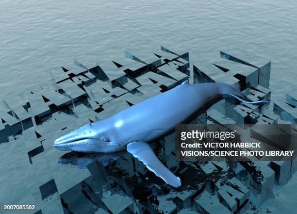 ai in whale communication, conceptual illustration - agreement stock illustrations