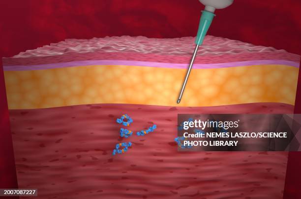 adalimumab binding tumour necrosis factor-alpha, illustration - monoclonal antibodies stock illustrations