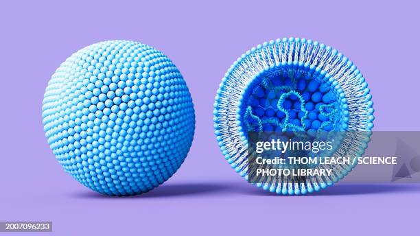 liposome containing dna, illustration - liposome stock illustrations