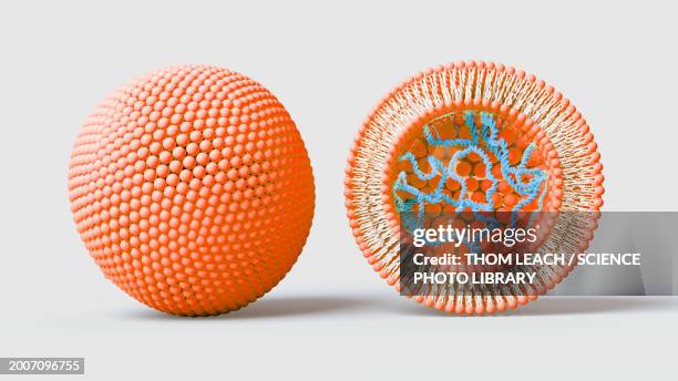 liposome containing dna, illustration - nanomedizin stock-grafiken, -clipart, -cartoons und -symbole