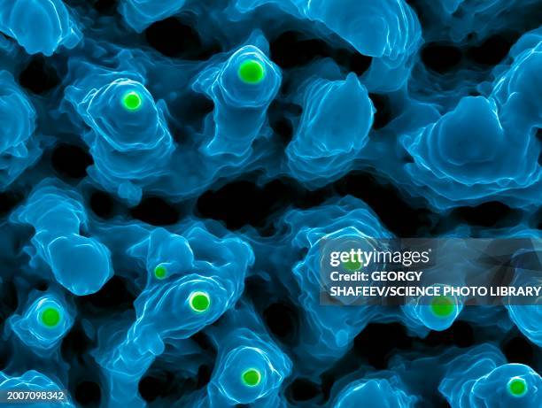 columnar structures on tin, sem - micrografía electrónica escaneadora fotografías e imágenes de stock