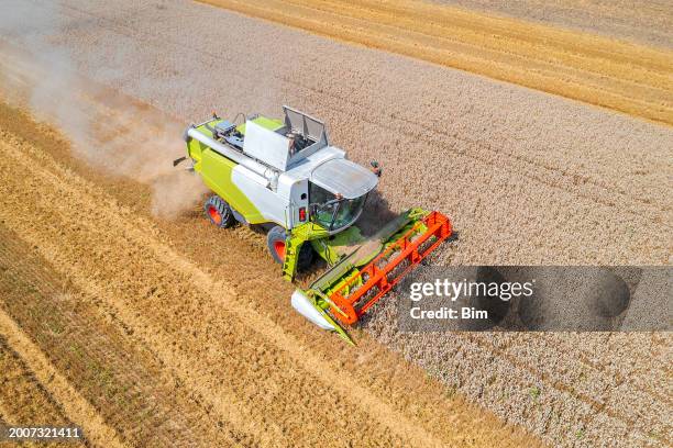 mietitrebbiatrice sul campo - mietitrebbia foto e immagini stock