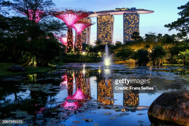 gardens by the bay and mbs during blue hour, singapore - gardens by the bay stock pictures, royalty-free photos & images