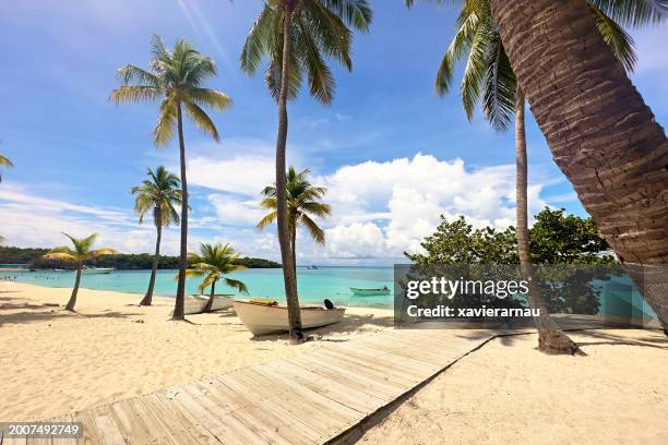 boats at beach in isla catalina, republica dominicana - caribbean culture stock pictures, royalty-free photos & images
