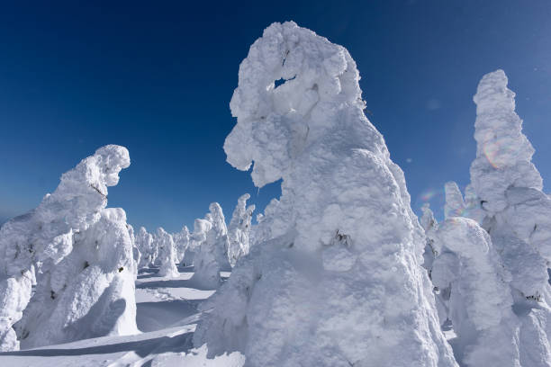 JPN: "Snow Monsters" Of Zao Appear As Weather Turns Favourable